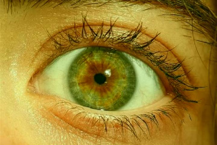 Ava, 21, a red hazel-eyed slavic companion based in Sobradinho II. Offering A-Level, Dinner Date, Tantra, Domination. Available for incall and outcall, overn...