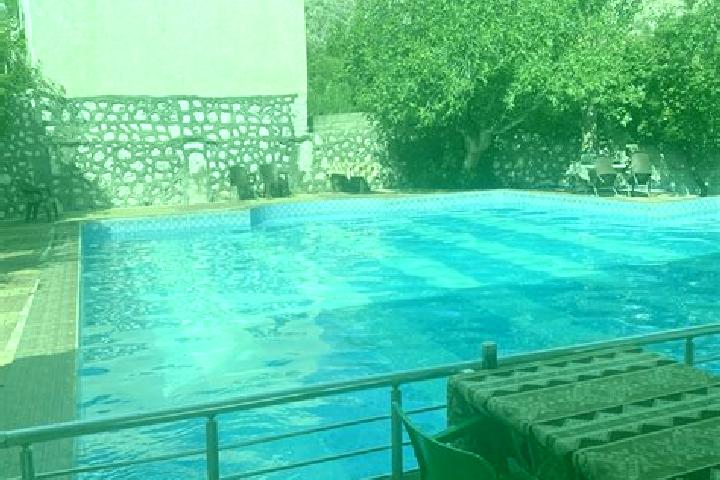 Ava, 21 — Escort in Damlacik, Turkey