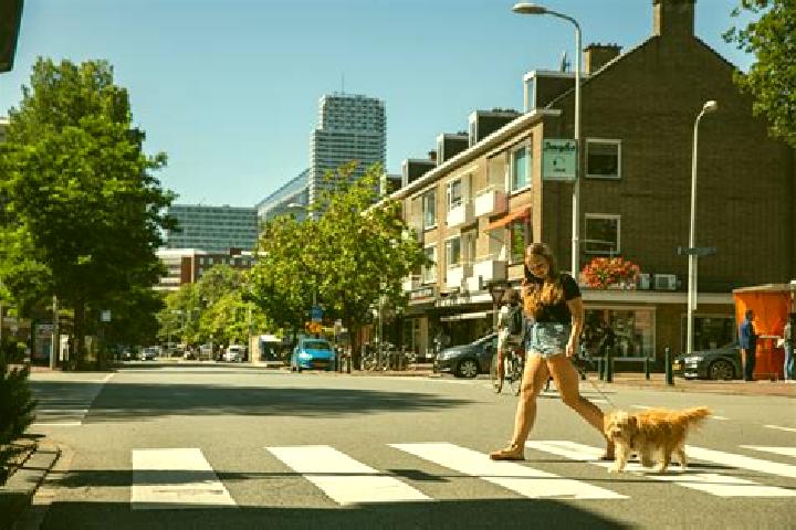 Ava, 21 — Escort in Duinzigt, Netherlands