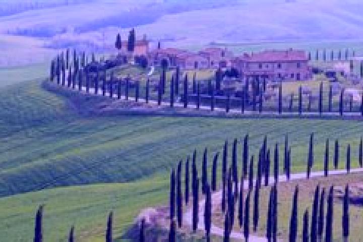 Ava, 21 — Escort in Palagiano, Italy