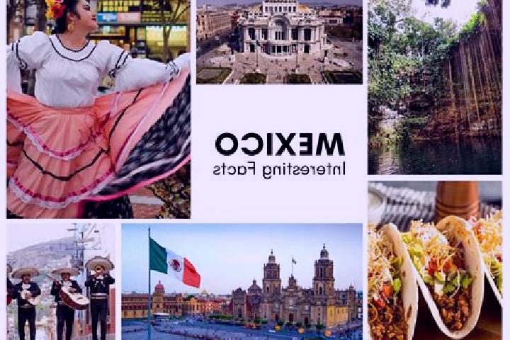 Ava, 21 — Escort in Tlalca, Mexico