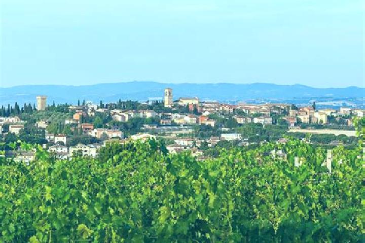 Ava, 21 — Escort in Torgiano, Italy