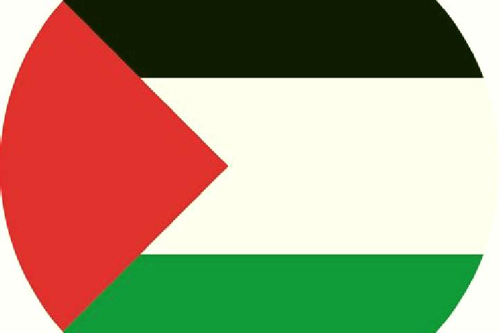 Ava, 21 — Escort in Zayta, Palestine