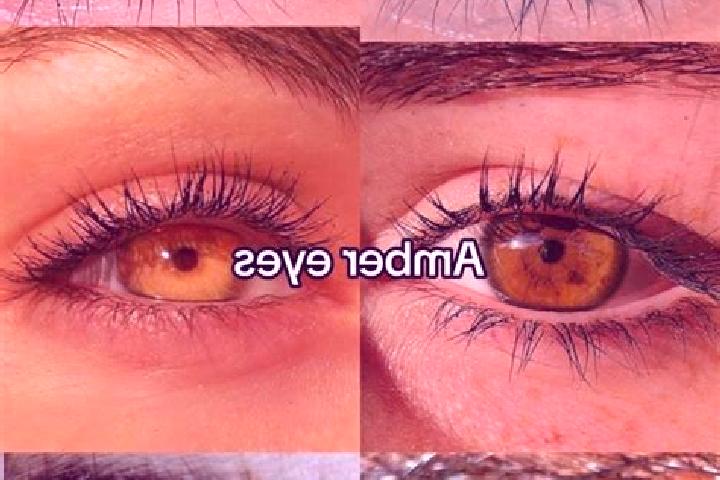 Ava, 22, a brunette amber-eyed mixed companion based in Acqualagna. Offering Striptease, OWO, Duos. Available for incall and outcall, overnight bookings avai...