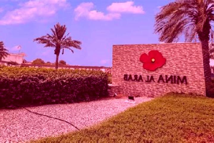 Ava, 22 — Escort in Al Mahbulah, Kuwait