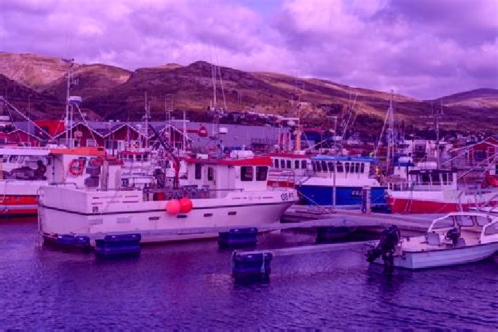 Ava, 22 — Escort in Batsfjord, Norway