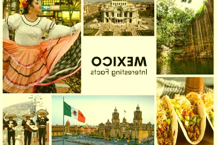 Ava, 22 — Escort in Los Cuatillos, Mexico