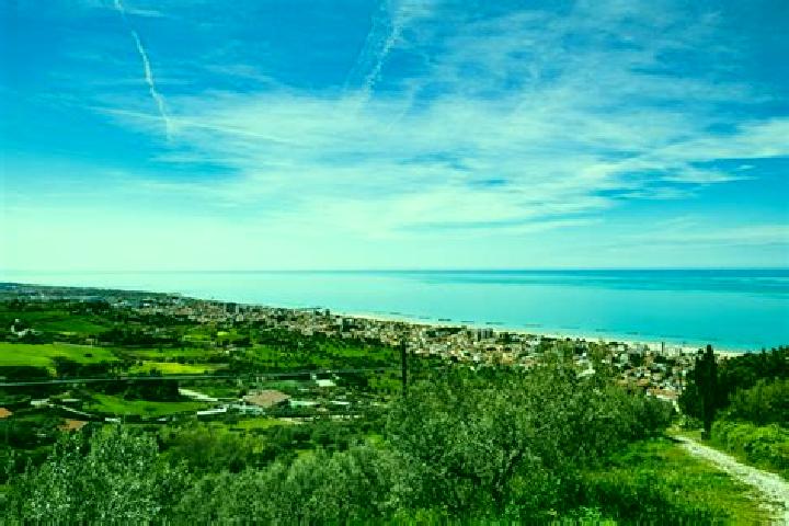 Ava, 22 — Escort in Tione degli Abruzzi, Italy