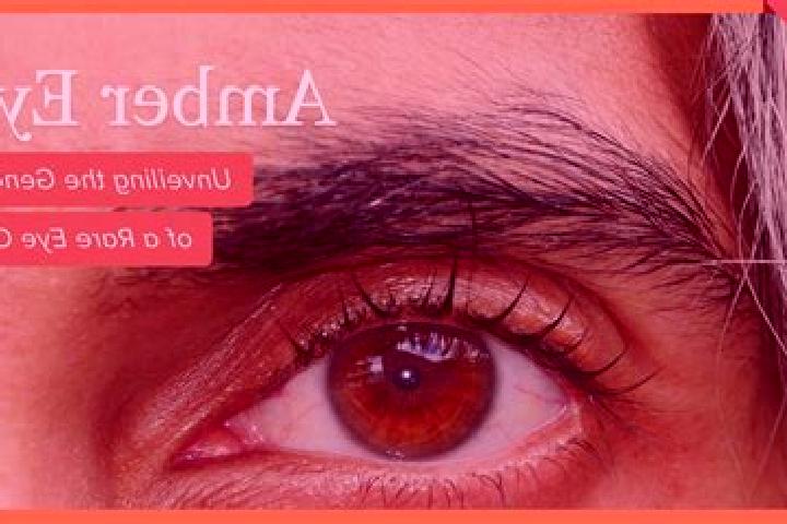 Ava, 23, a black amber-eyed mediterranean companion based in Impendle. Offering 69, Duos, GFE. Available for incall and outcall, day and evening dates.