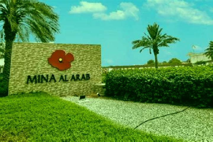 Ava, 23 — Escort in Al Burayj, Palestine