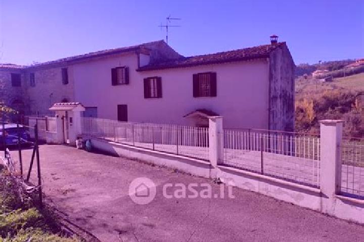Ava, 23 — Escort in Case Cibba-Sciascia-Crocifisso-Tondarella-Virano, Italy