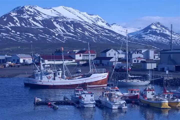 Ava, 23 — Escort in Dalvik, Iceland