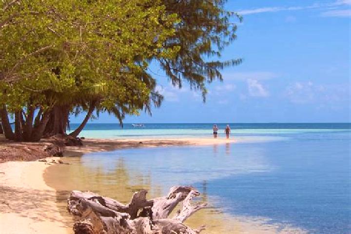 Ava, 23 — Escort in Patchchacan, Belize