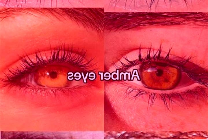 Ava, 24, a chestnut amber-eyed european companion based in Wattleglen. Offering Girlfriend Experience, Domination, A-Level. Available for incall and outcall,...