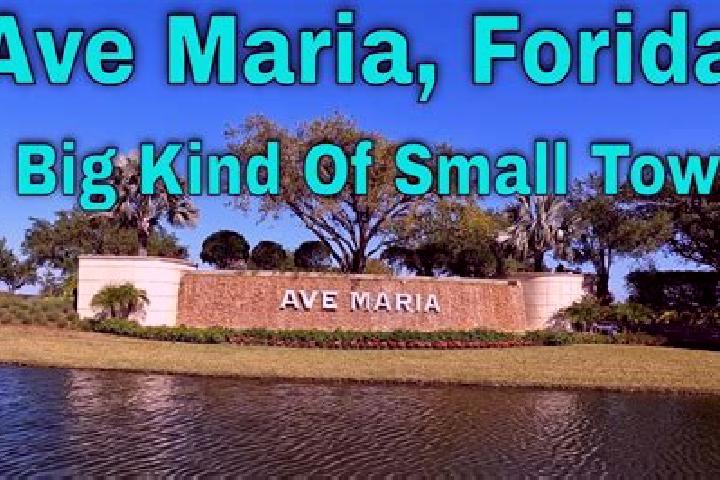 Ava, 24 — Escort in Ave Maria, United States
