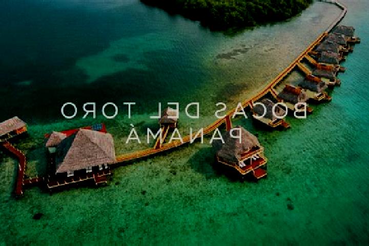 Ava, 24 — Escort in Bocas del Toro, Panama