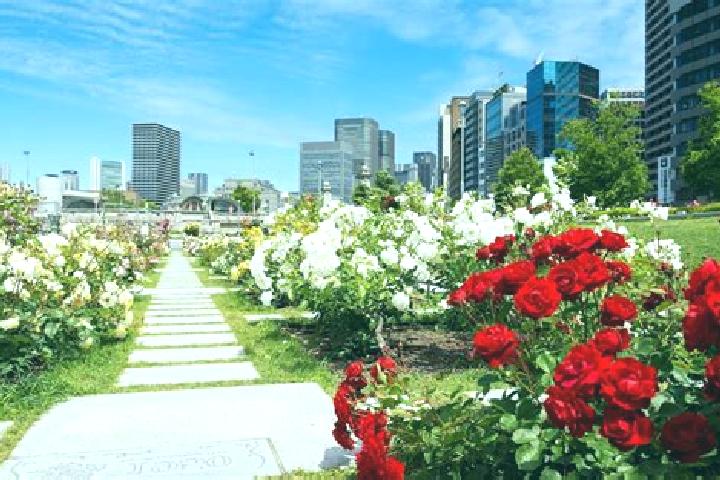 Ava, 24 — Escort in Nakanoshima, Japan