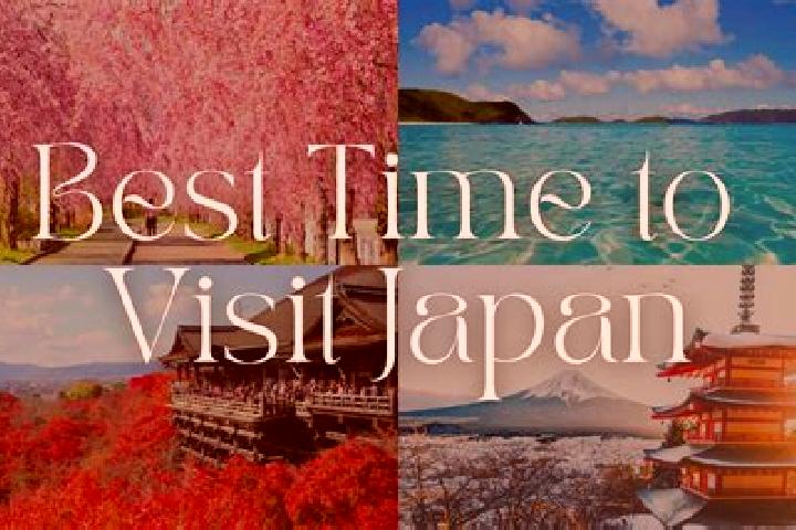 Ava, 24 — Escort in Toin, Japan