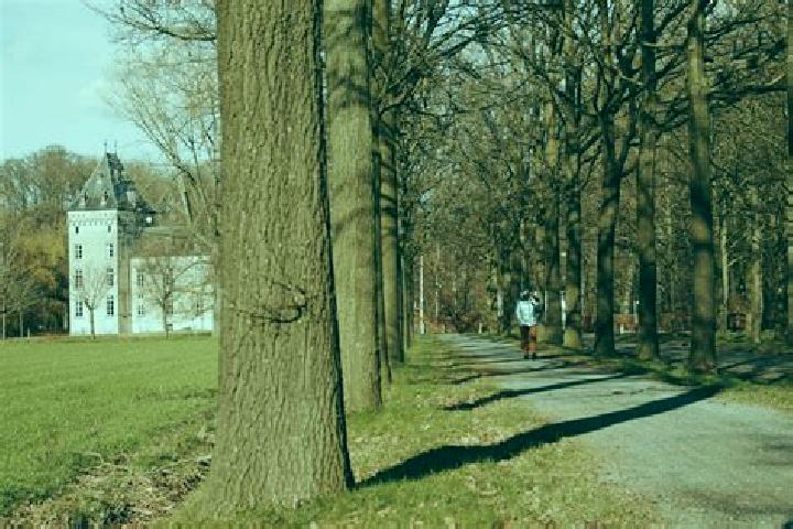 Ava, 24 — Escort in Westmalle, Belgium