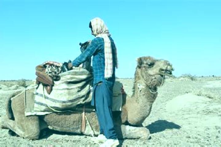 Ava, 25 — Escort in Dasht-e Qal ah, Afghanistan