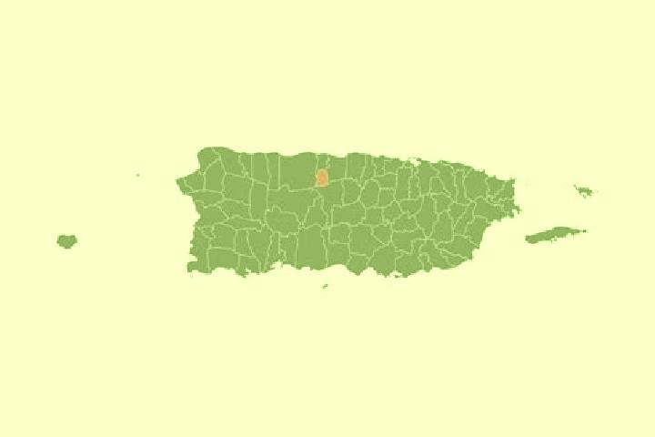 Ava, 25 — Escort in Estancias de Florida, Puerto Rico