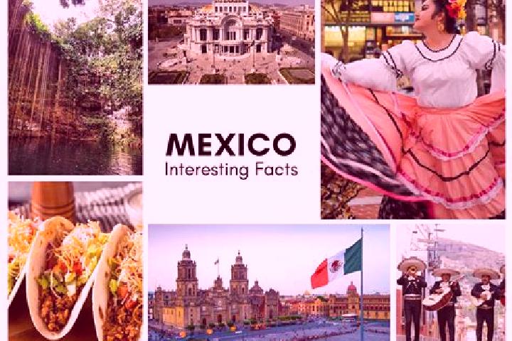 Ava, 25 — Escort in Huichila, Mexico