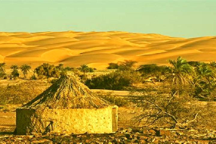 Ava, 25 — Escort in Mijek, Western Sahara