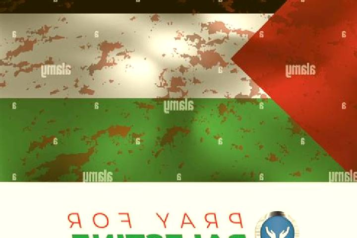 Ava, 25 — Escort in Qaffin, Palestine