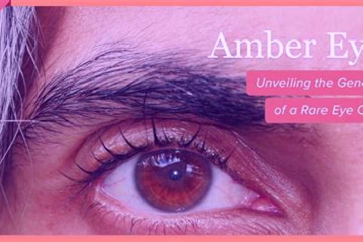 Ava, 26, a black amber-eyed mediterranean companion based in Higgins. Offering Party Girl, Deep French Kissing, Prostate Massage, Couples. Available for inca...