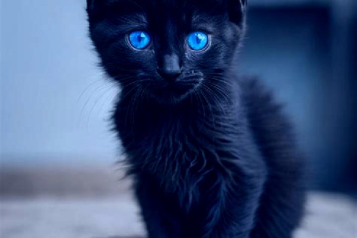 Ava, 26, a black blue-eyed caribbean companion based in Pinukpuk. Offering GFE, Dinner Date, Duos. Available for incall and outcall, day and evening dates.