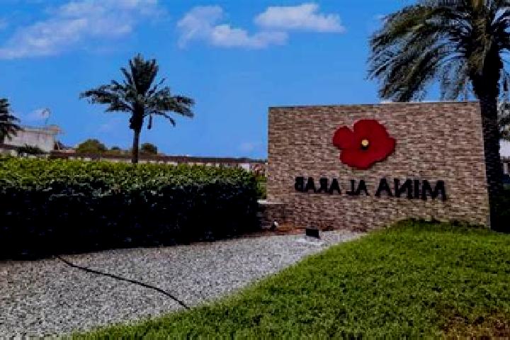 Ava, 26 — Escort in Al Jarushiyah, Palestine