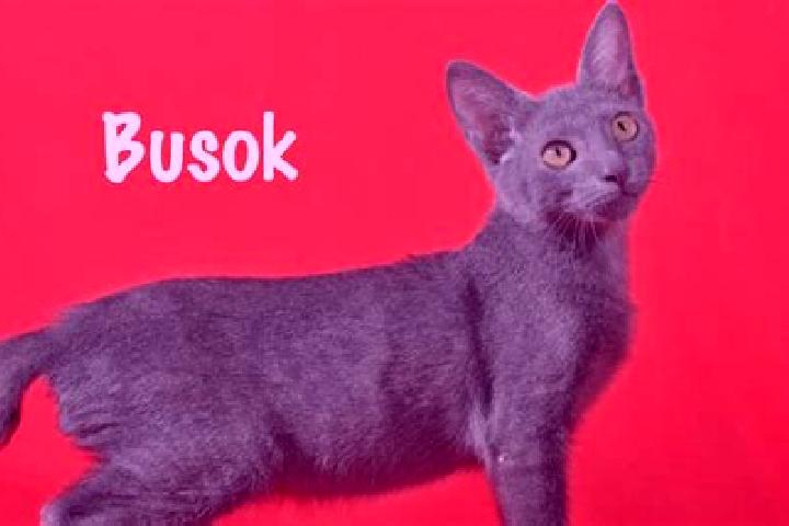 Ava, 26 — Escort in Busok, Philippines