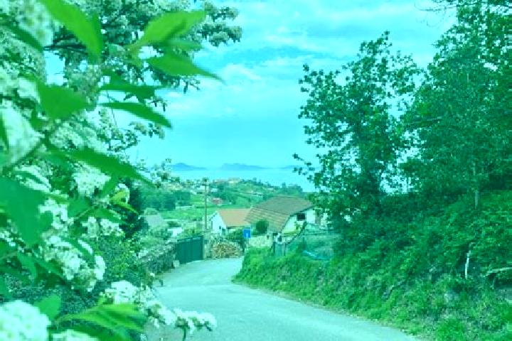 Ava, 26 — Escort in Espinosa del Camino, Spain