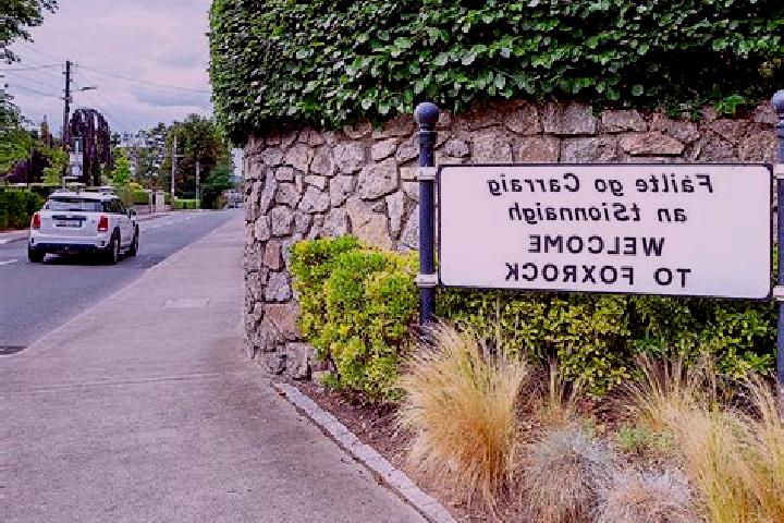 Ava, 26 — Escort in Foxrock, Ireland