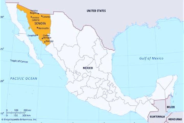 Ava, 26 — Escort in Nuevo Sonora, Mexico