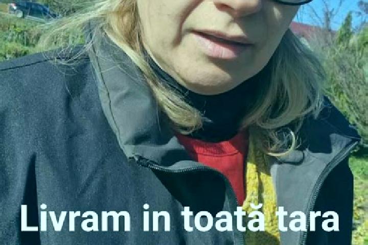 Ava, 26 — Escort in Rugasesti, Romania