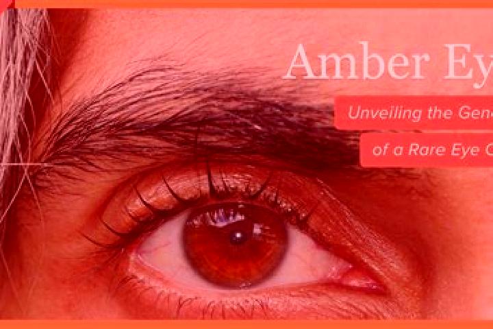 Ava, 27, a black amber-eyed middle eastern companion based in Amol. Offering Dinner Date, A-Level, BDSM. Available for incall and outcall, overnight bookings...