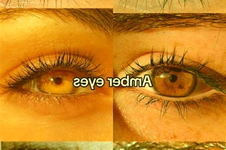 Ava, 27, a chestnut amber-eyed slavic companion based in Capitol Hill. Offering BDSM, Dinner Date, A-Level. Available for incall and outcall, day and evening...