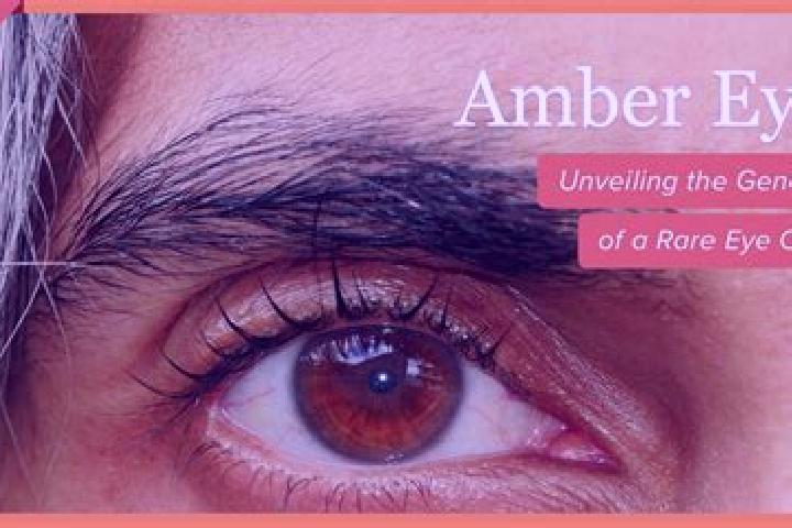 Ava, 27, a red amber-eyed middle eastern companion based in Raby. Offering 69, A-Level. Available for incall and outcall, overnight bookings available.