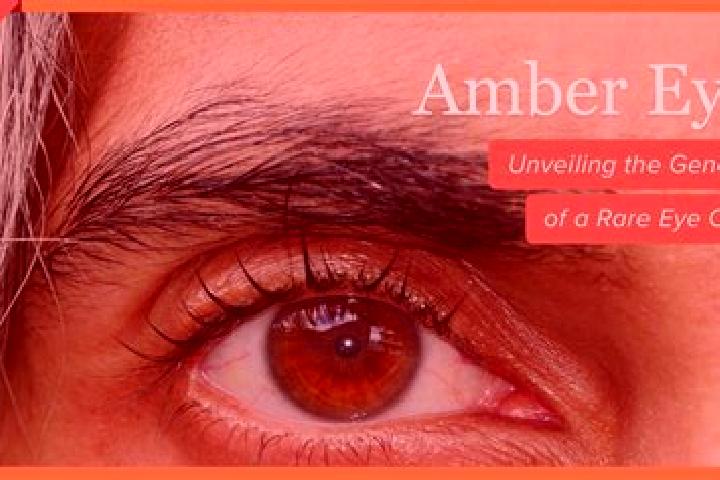 Ava, 27, a red amber-eyed middle eastern companion based in Umbanyar. Offering Striptease, Party Girl, Overnight. Available for incall and outcall, overnight...