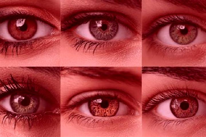 Ava, 27, a red hazel-eyed caucasian companion based in Obsza. Offering Erotic Massage, GFE, Prostate Massage. Available for incall and outcall, overnight boo...