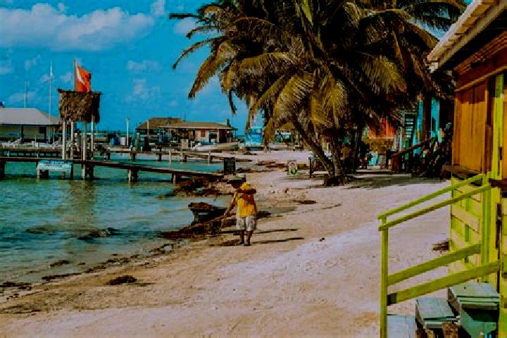 Ava, 27 — Escort in Bladen, Belize