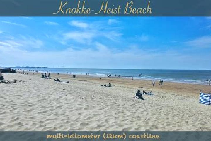 Ava, 27 — Escort in Knokke, Belgium