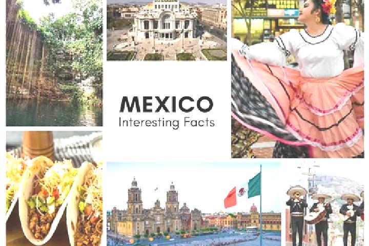 Ava, 27 — Escort in Neblinas, Mexico