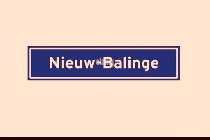 Ava, 27 — Escort in Nieuw-Balinge, Netherlands
