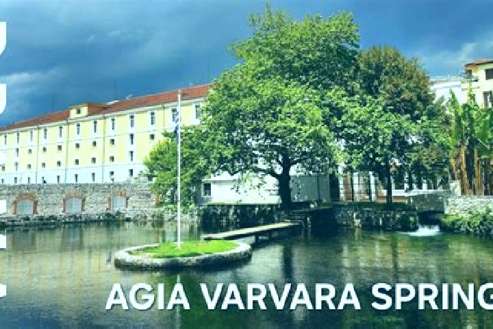 Ava, 28 — Escort in Agia Varvara, Greece