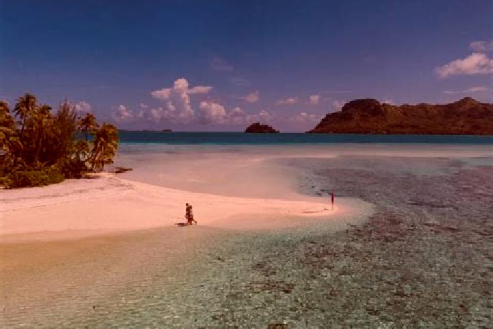 Ava, 28 — Escort in Arue, French Polynesia