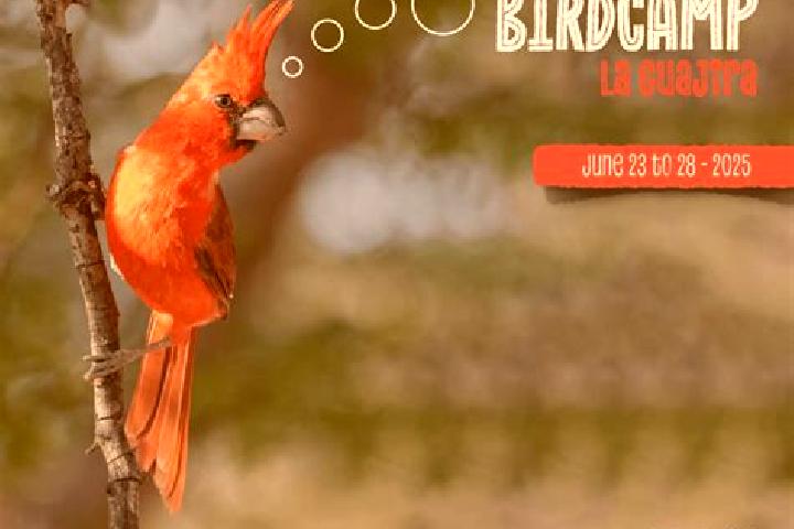Ava, 28 — Escort in El Canario, Mexico
