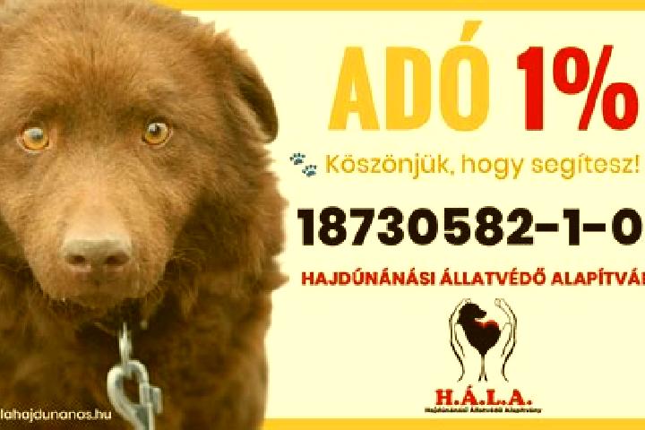 Ava, 28 — Escort in Hajdunanas, Hungary