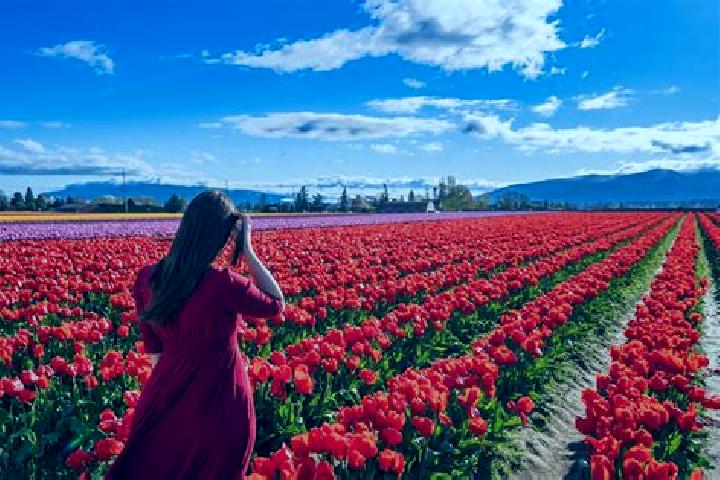 Ava, 28 — Escort in Vernon Valley, United States